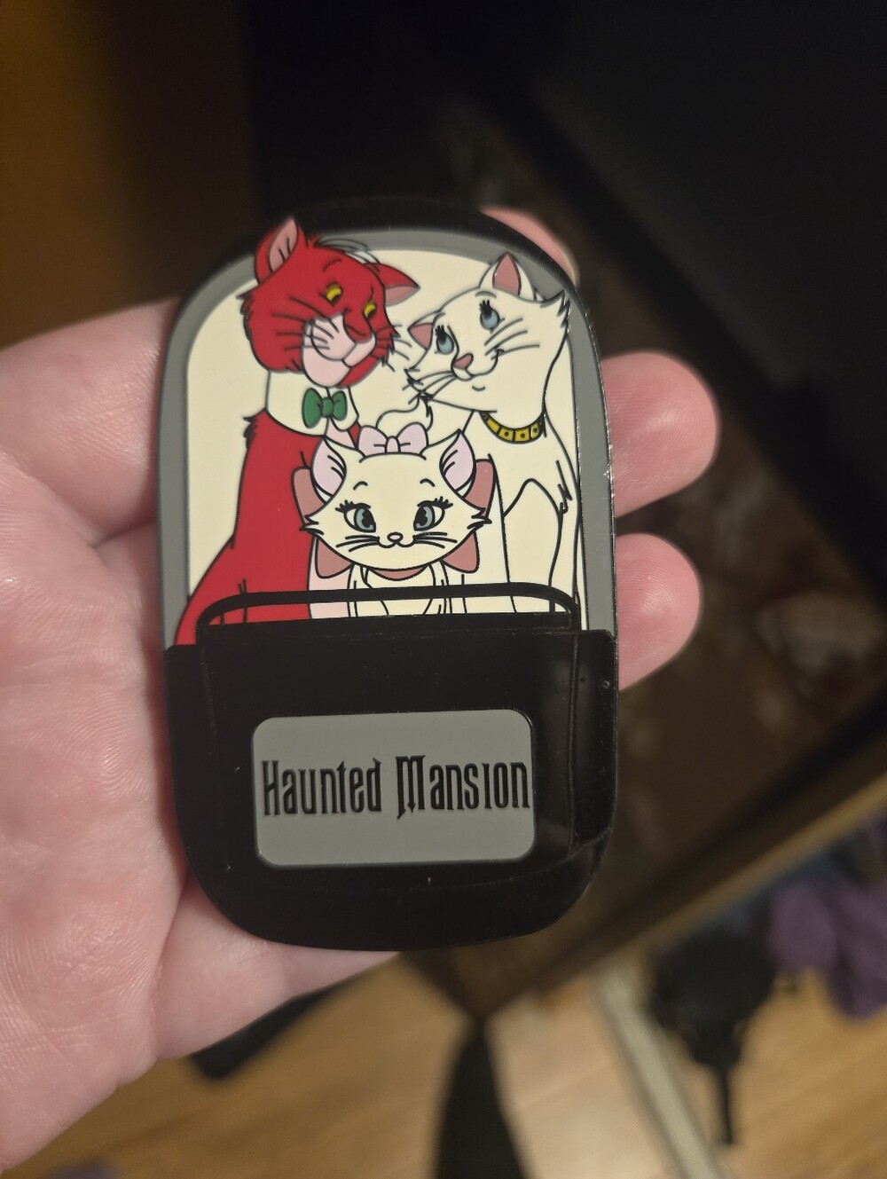 Disney Aristocats & Haunted Mansion Fantasy Pin